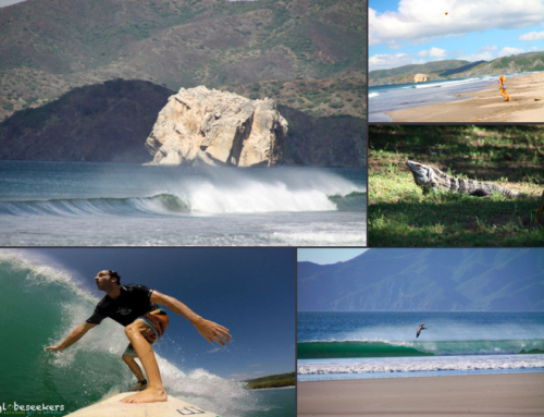 Pura Vida Costa Rica – yoga, surf & nature exploring!